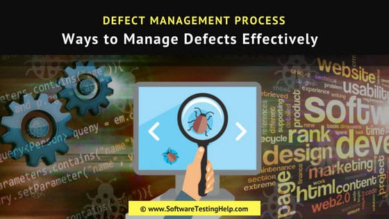 Software Defect Management Defect Management Process - Download Premium Landscape Design | 4K