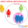 Agile Scrum Methodology In Software Development