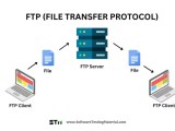 14 Popular File Transfer Protocols For Business Explained