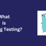 Golang Testing: A Complete Guide, Examples, And Best Practices ...