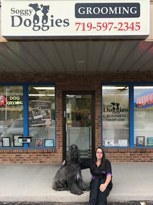 High quality foods are available for nearly all pet types whether you have a dog, cat, reptile, fish, small animal or feathered friend. Cari Goslyn, Owner and Pet Stylist at Soggie Doggies ...