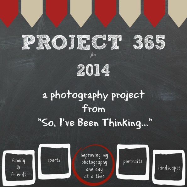 Project 365 for 2014
