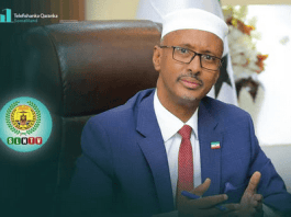 Information Minister Ahmed-yasin slams at Hassan Sheikh’s confounding letter to Trump