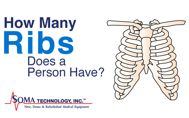 Wednesday Wisdom: How Many Ribs Are in the Body?