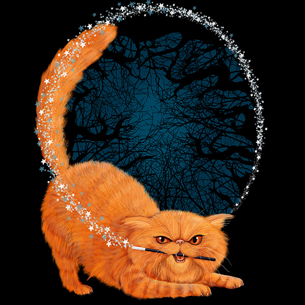 Cat Rescue Fundraising