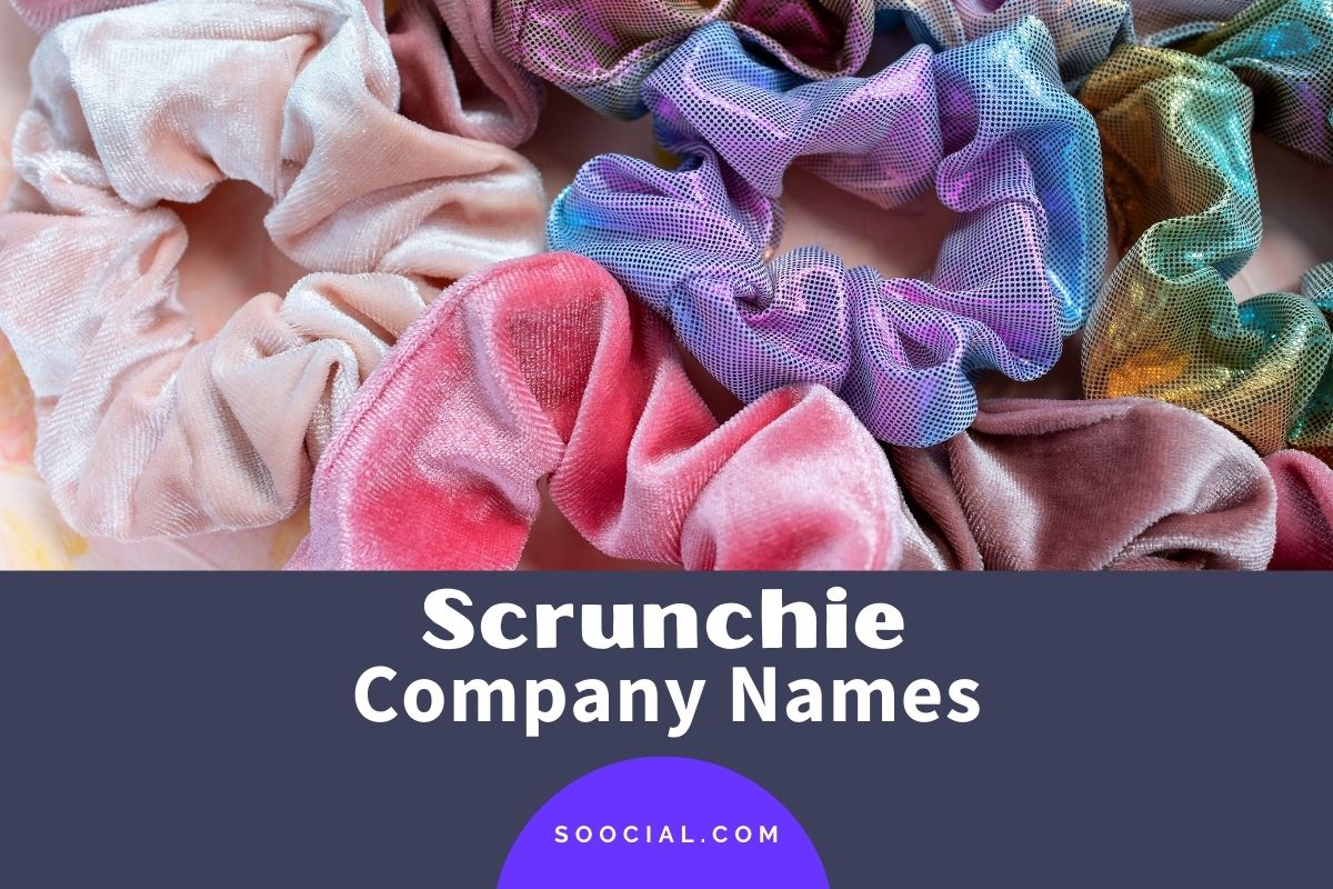 Check out the ideas of company names below. 421 Catchy Scrunchie Business Name Ideas Soocial