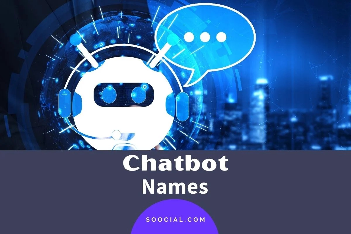 Tania thomson / shutterstock from social butterflies to solitary scavengers, virtually all anima. 488 Chatbot Name Ideas That Make People Want To Talk Soocial