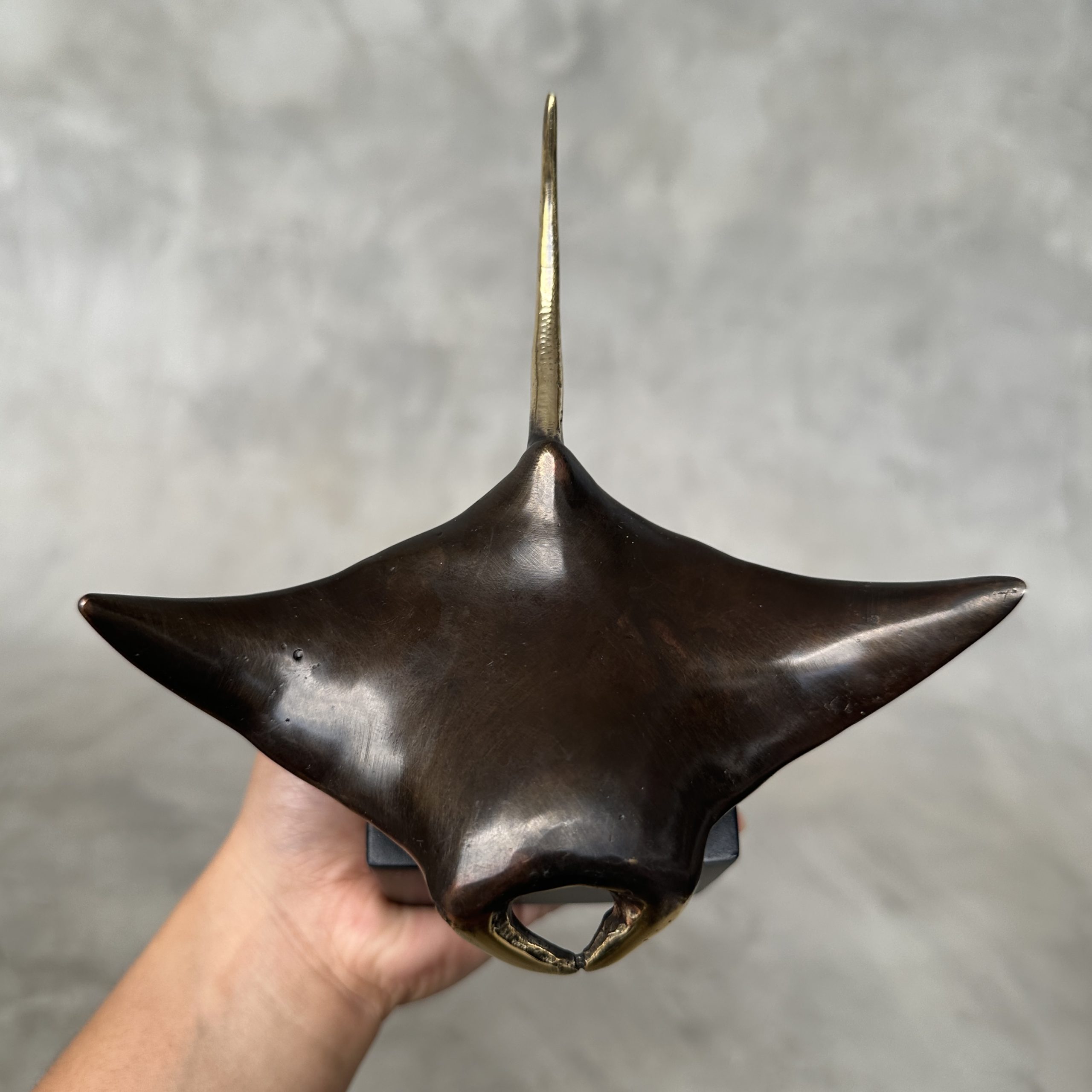 manta ray in bronze with golden accents