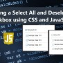 Creating A Select All And Deselect All Checkbox Using CSS And JavaScript Tutorial | SourceCodester
