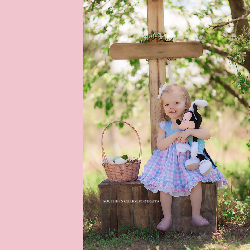 photography studio in powell tn