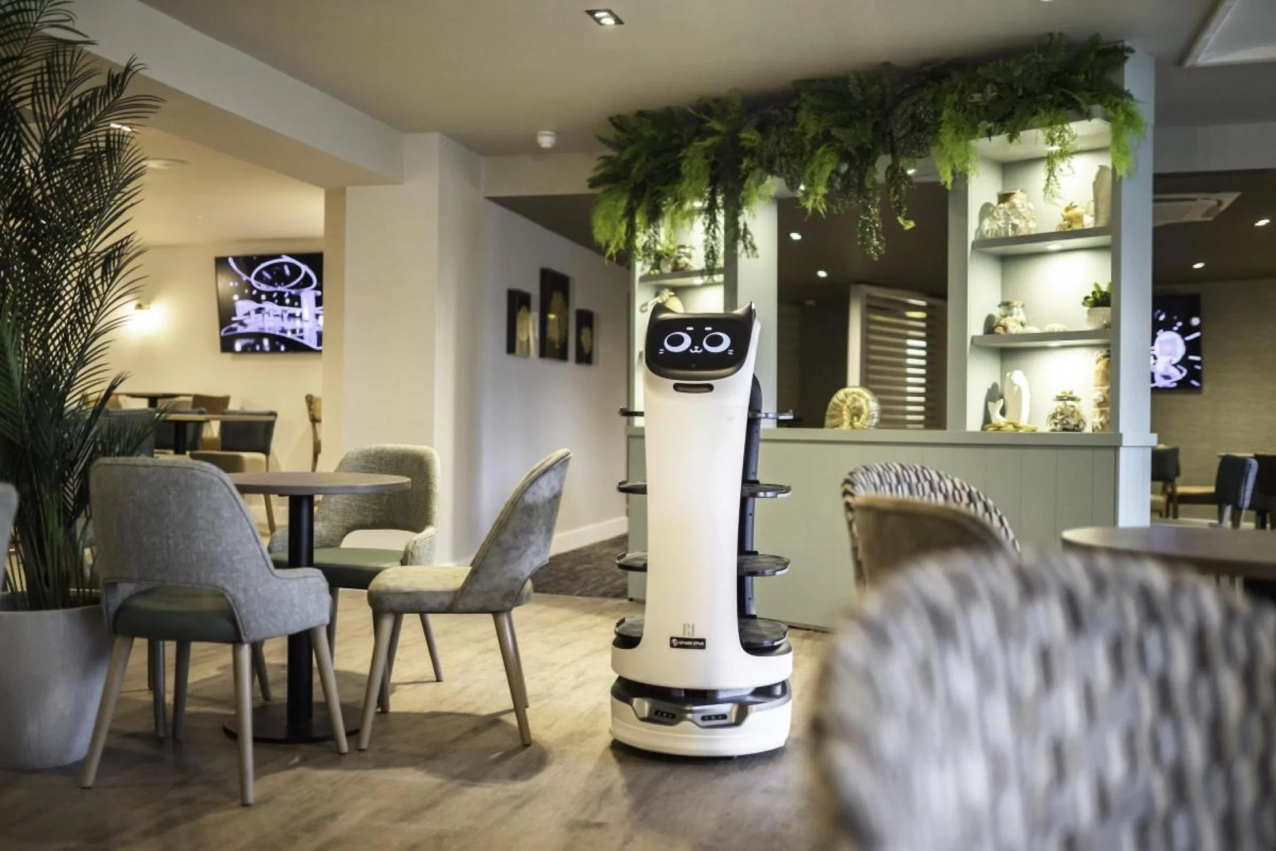 Image of BellaBot in a restaurant