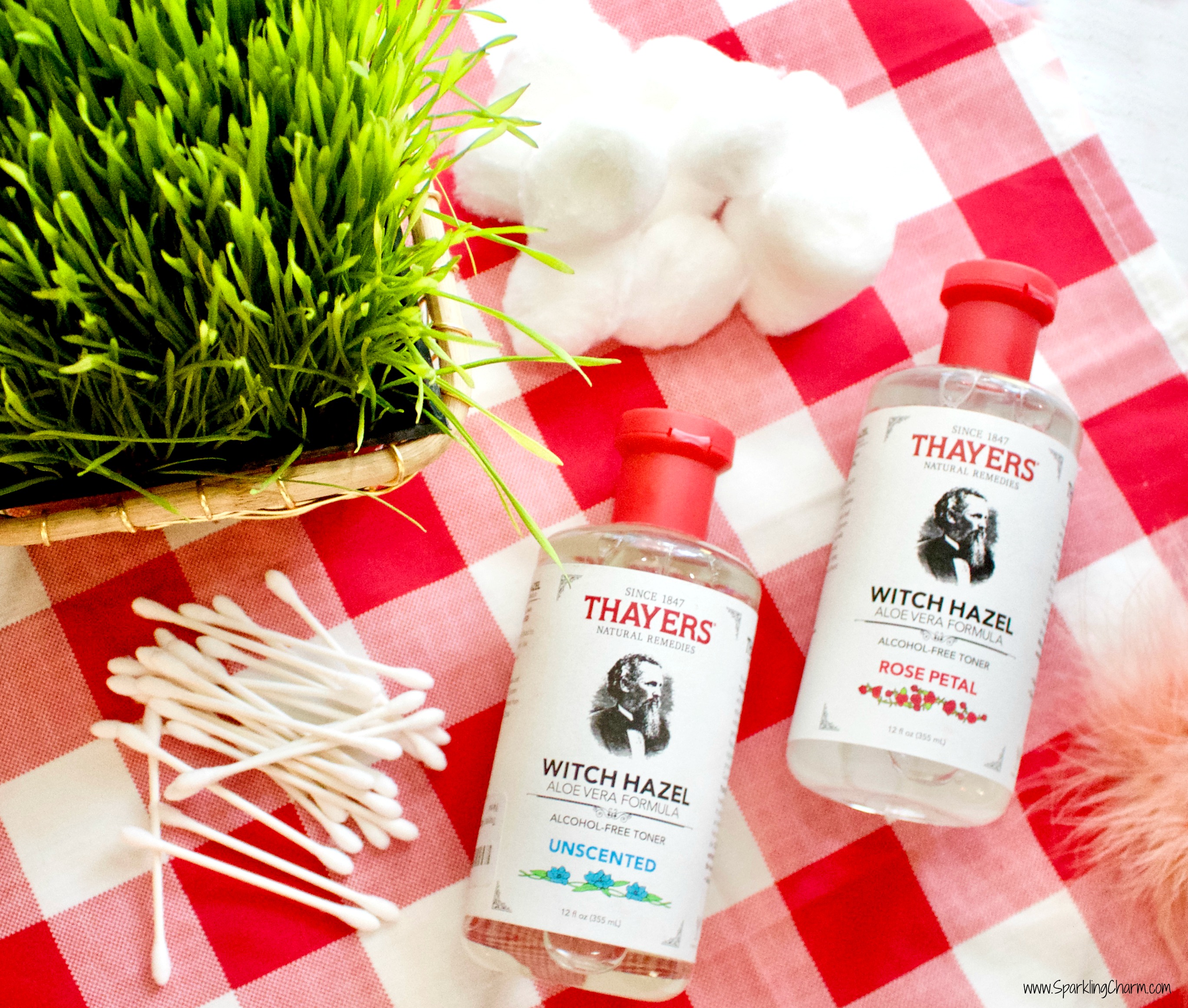 witch hazel dog spray