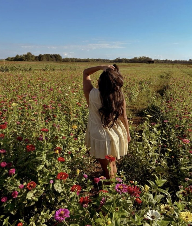 8:23 Heal What Your Body Has Been Holding: Emotional Baggage & Cellular Block Healing