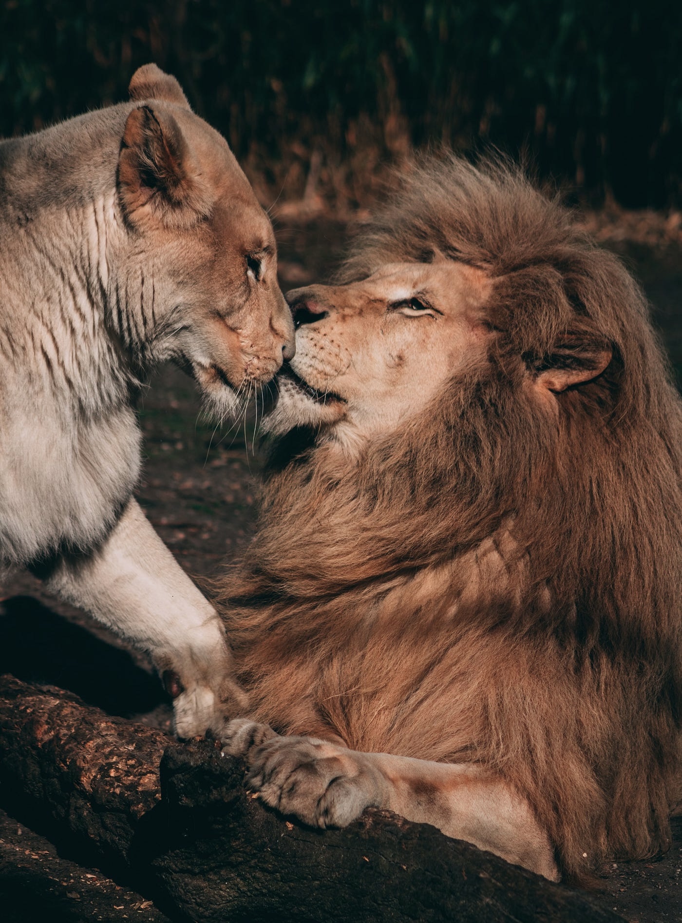 10:7 Twin Flame Clearing For Karmic Entanglements