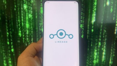 Rooting and ROM hacking as an Android newbie was a risky challenge