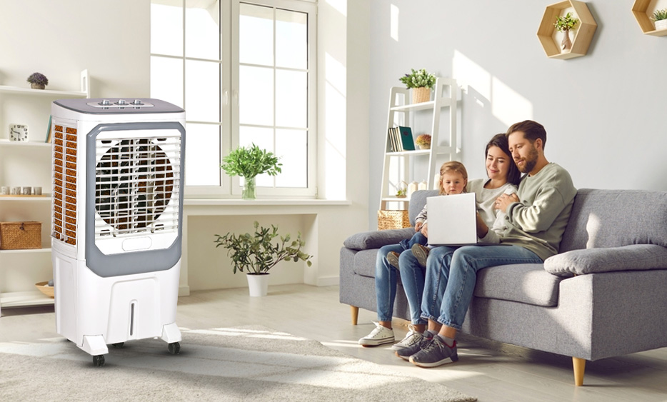 Air Cooler