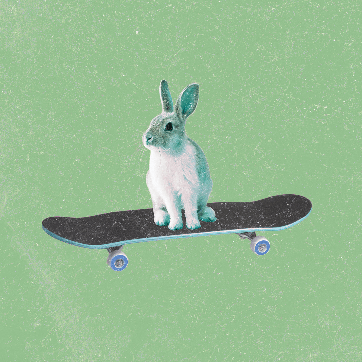 Celeste Levels Speedrun