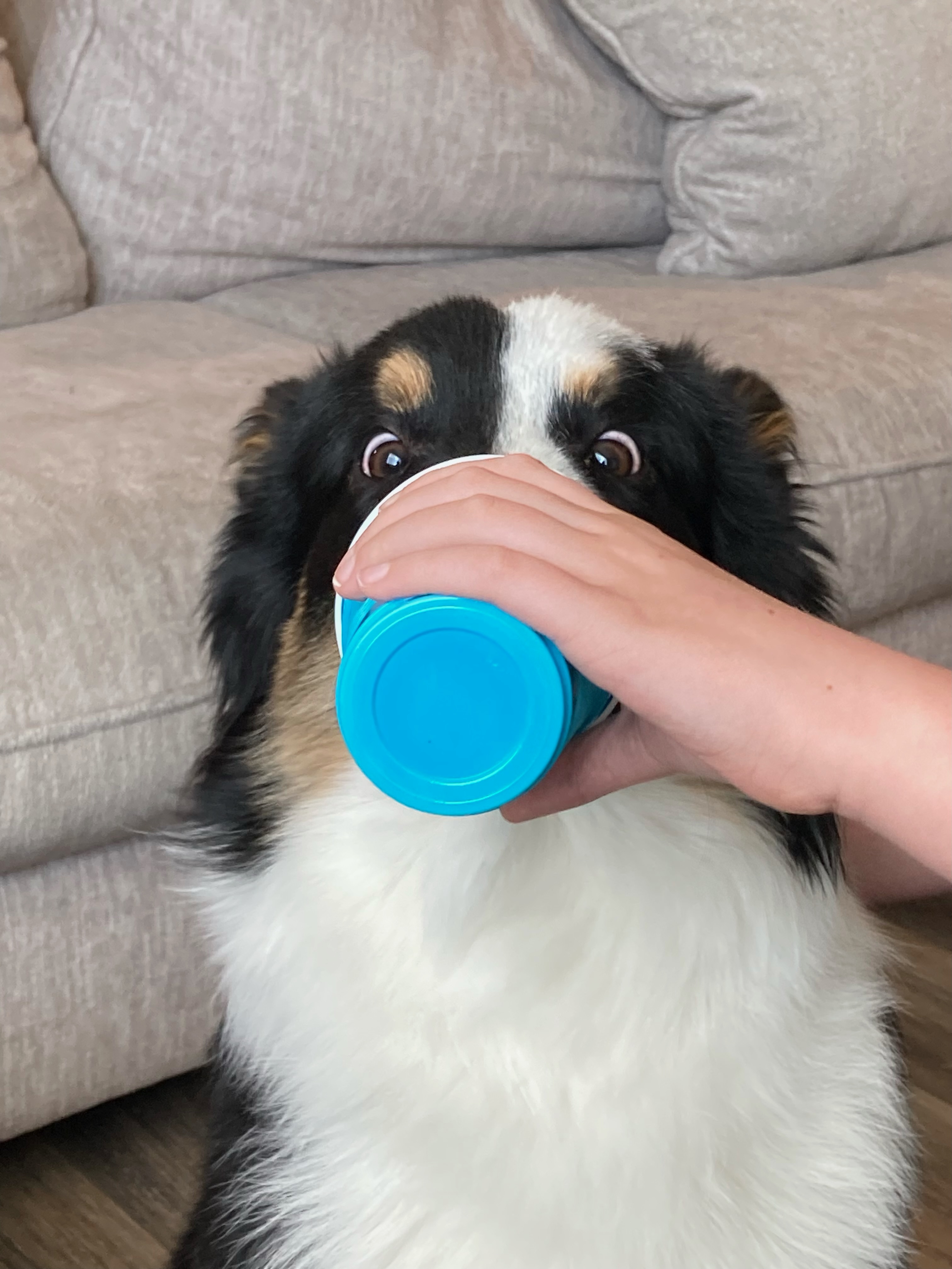 Getaway Shootout Speedrun