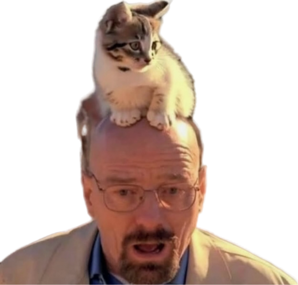 Raldi S Crackhouse Speedrun