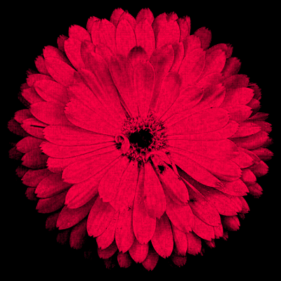 Pending Runs Lofty Sprite Speedrun