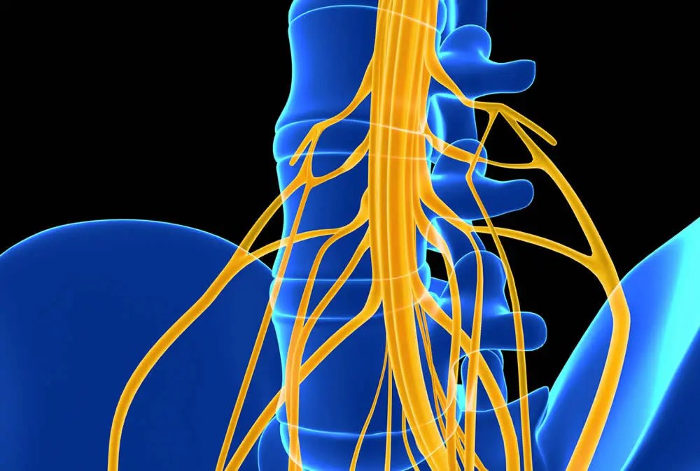 spinal-cord-stimulator