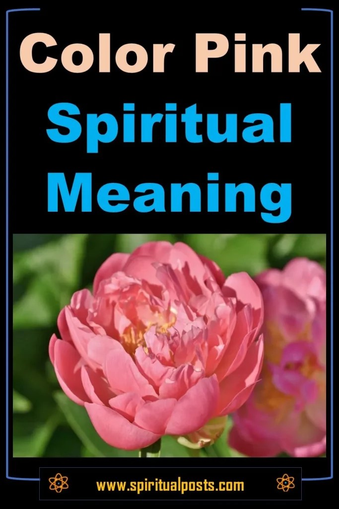 Color pink spiritual meaning, symbolism & representation