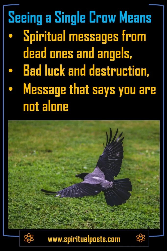 Number of crows meaning (1, 2, 3, 4, 5, 6, 7, 8, 9 crows!)