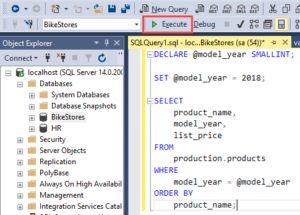 Variables In Sql Server Stored Procedures - Nature Wallpaper Collection - Desktop Quality