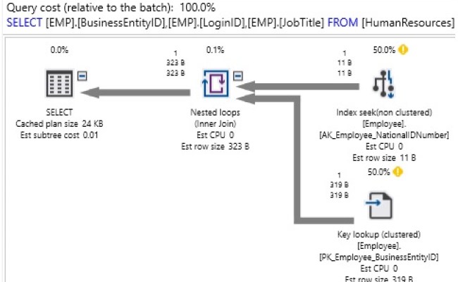 Query Optimization Techniques In SQL Server: The Basics