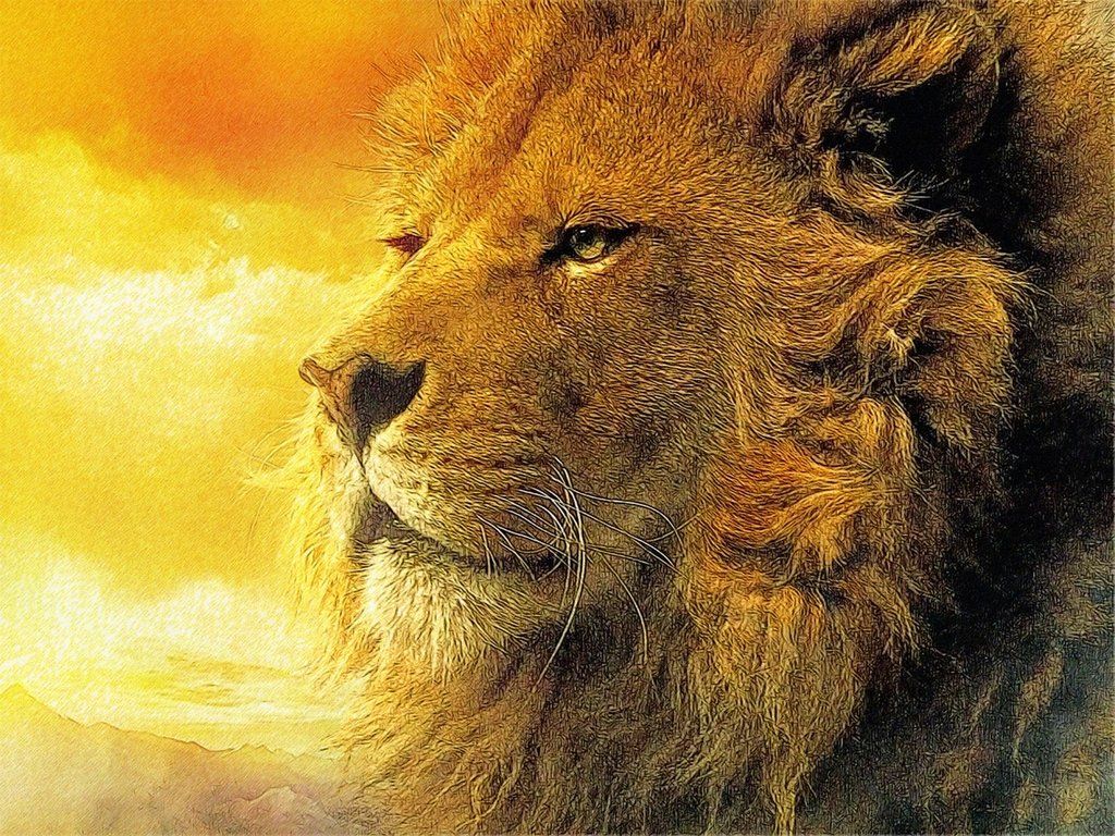صور الاسد مميزة , خلفيات الاسود للفوتوشوب , 2021 Epic Lion