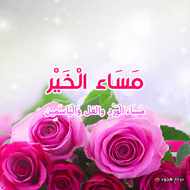 اجمل عبارات مساء الخير بالصور , خلفيات مصورة مساء الخير