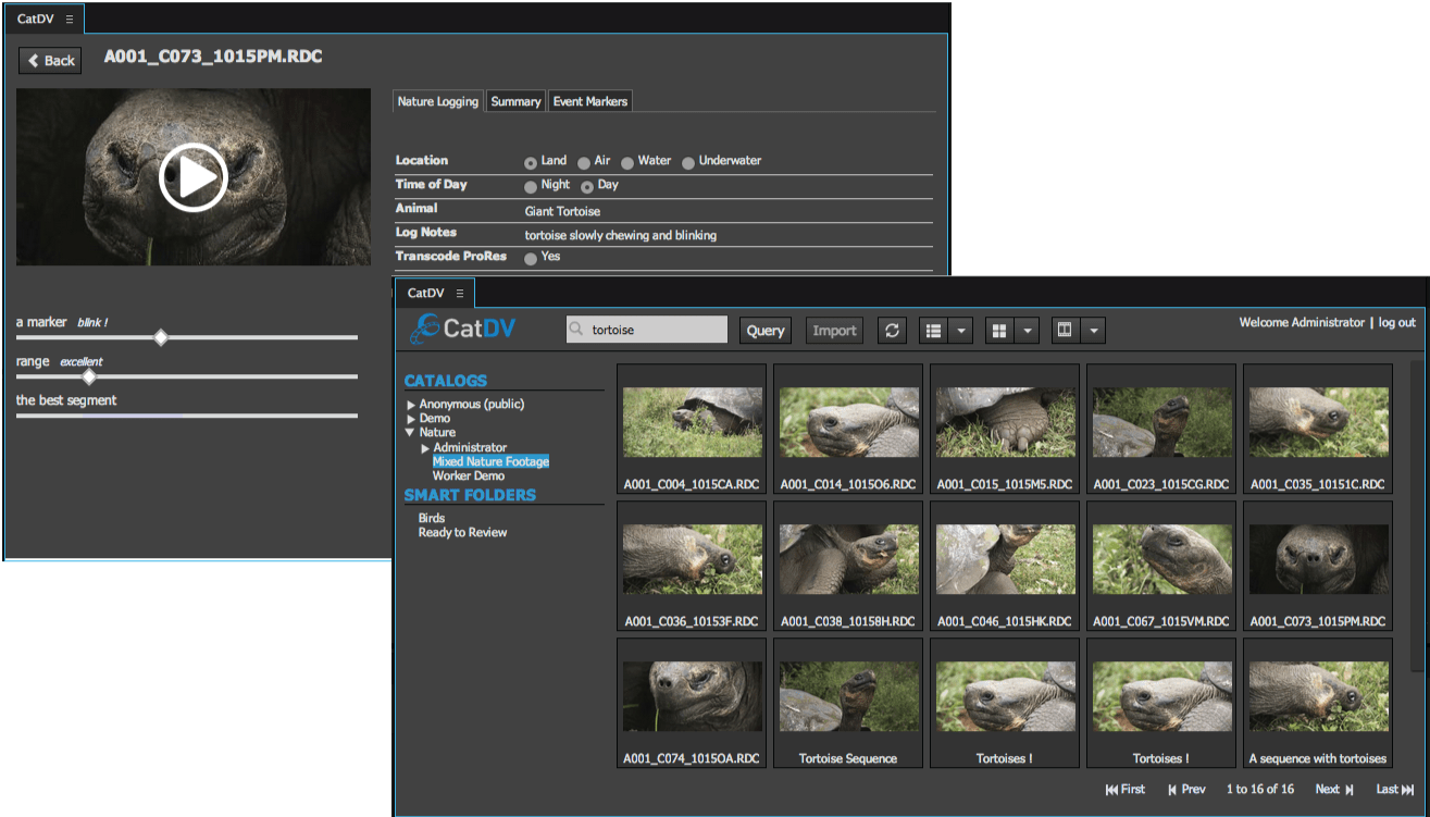 Catdv And Adobe Premiere Pro Cc Squarebox