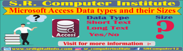 Microsoft Access Data Type