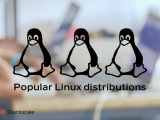 31 Popular Linux Distributions And Os List