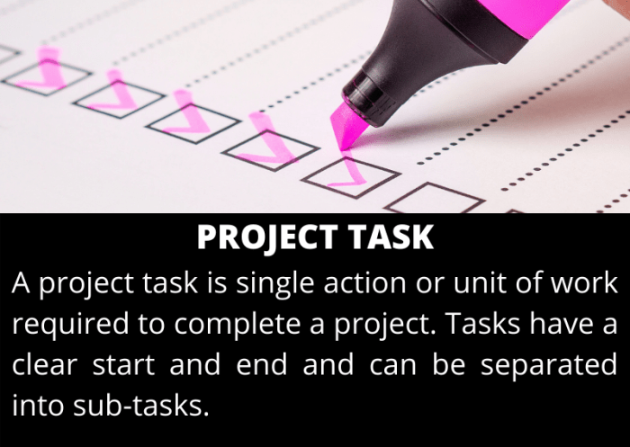 What does Task mean? Project Management Dictionary of Terms What is task management software