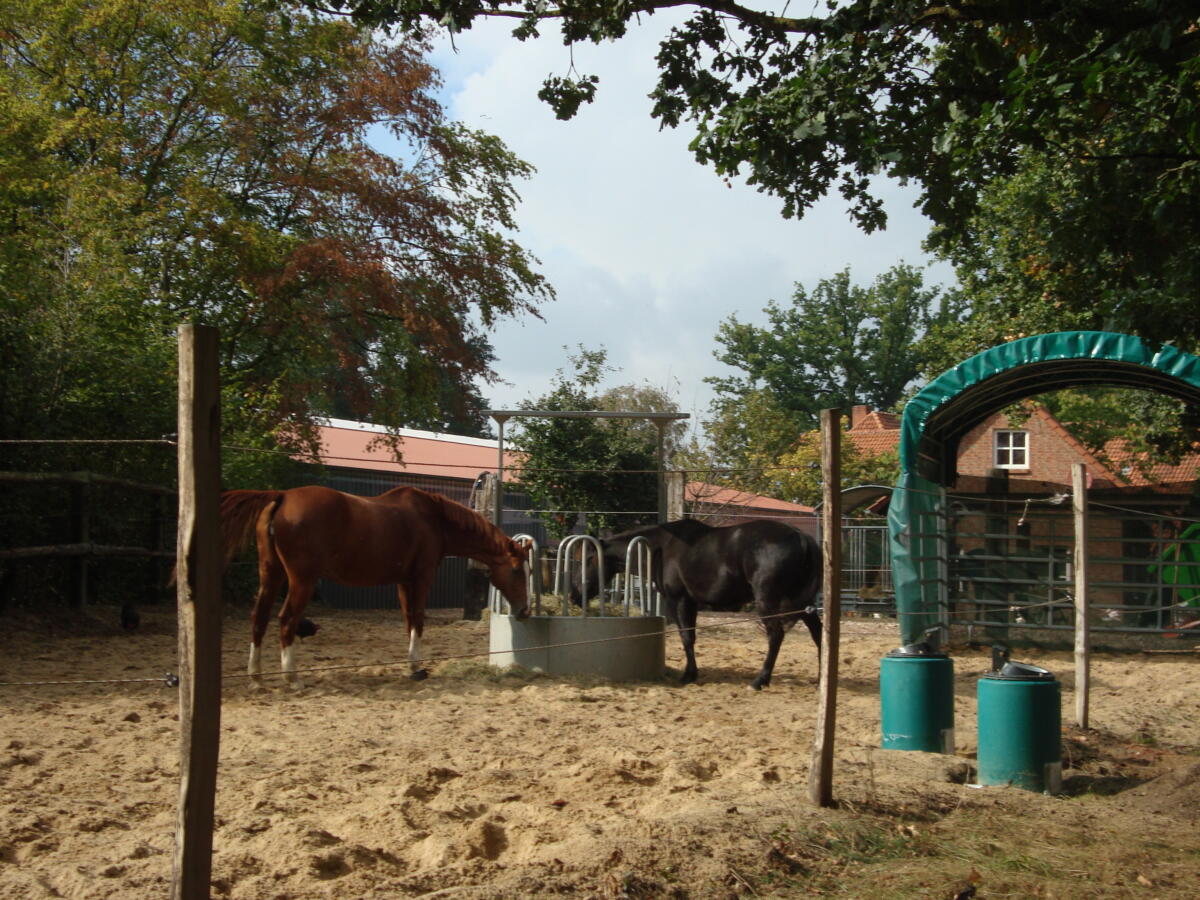 Sie besitzen ein eigenes pferd? 6 OffenstallplÃ¤tze + 3 Boxen frei,mit Reithalle mit