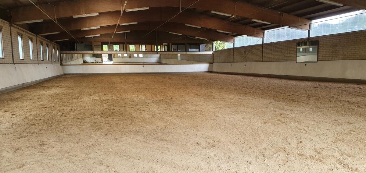 Freie pferdebox im stall, offenstall, reitanlage, reiterhof, gestüt oder reitschule auf . Reitstall Hardthof mit freien StallplÃ¤tzen oder
