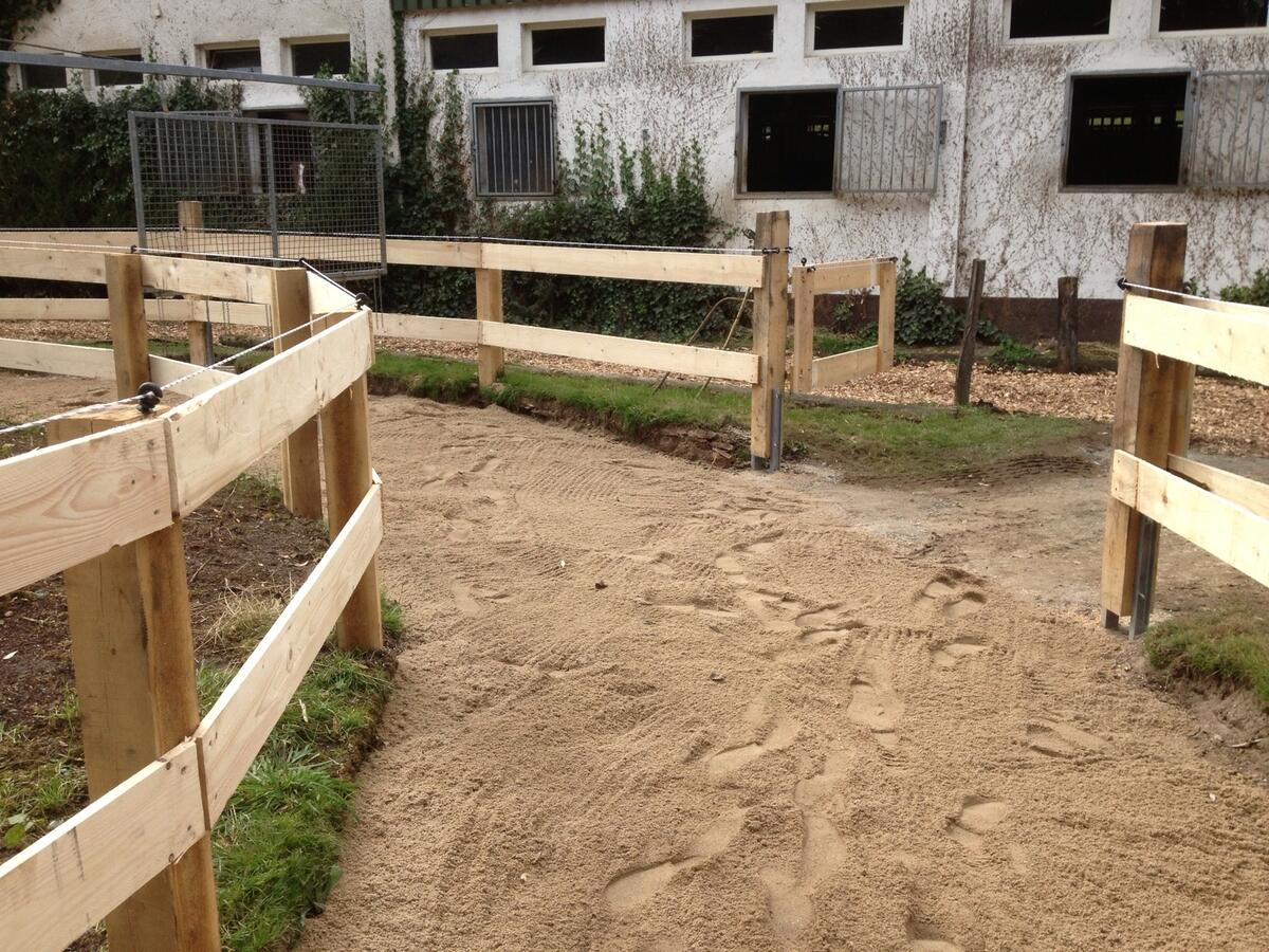 Frei pferdepension pferdeställe reitplatz pferdestall dortmund reitställe . Reitstall Jung mit freien StallplÃ¤tzen oder Pferdeboxen