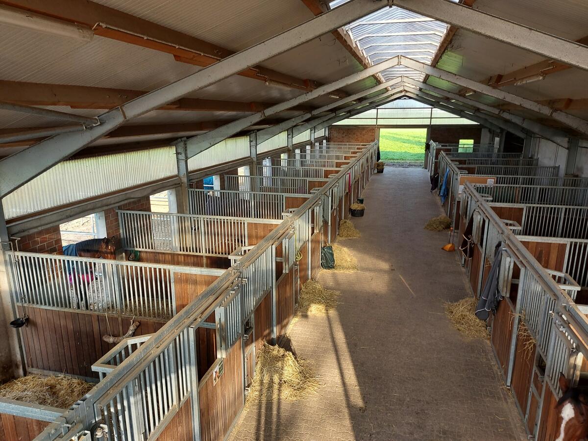Wir freuen uns von dir zu hören. Gut Klein-Winkelhausen AuÃenbox mit Paddock mit freien