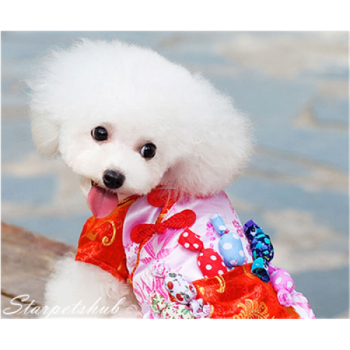 Chinese New Year Dog Clothes Fs079