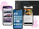 Native Mobile App Development Company Startechup