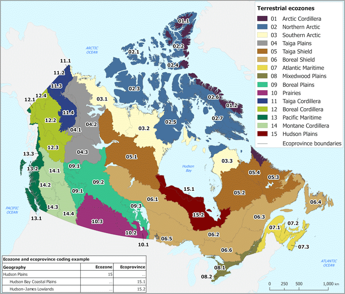 Terrestrial Ecozones And Ecoprovinces Of Canada
