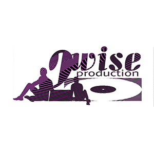 2wise Productions 2wise Productions