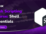 Bash Scripting Course Shell Essentials