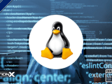 Linux Scripting Course Project Based Approach