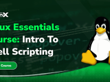 Linux Essentials Course Intro To Shell Scripting