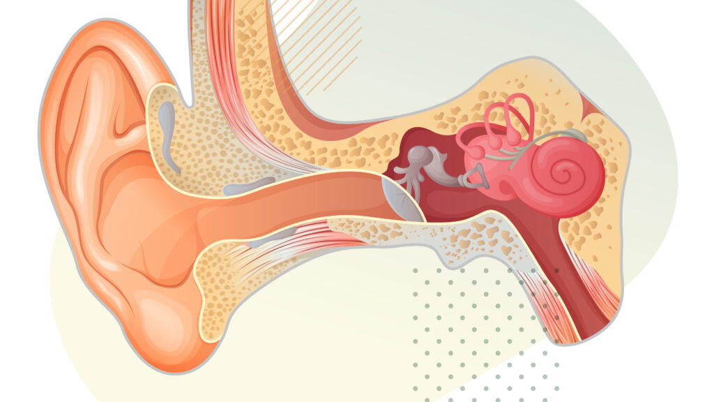 Gene Therapy for Deafness: New Trial by Skylark Bio (2026)