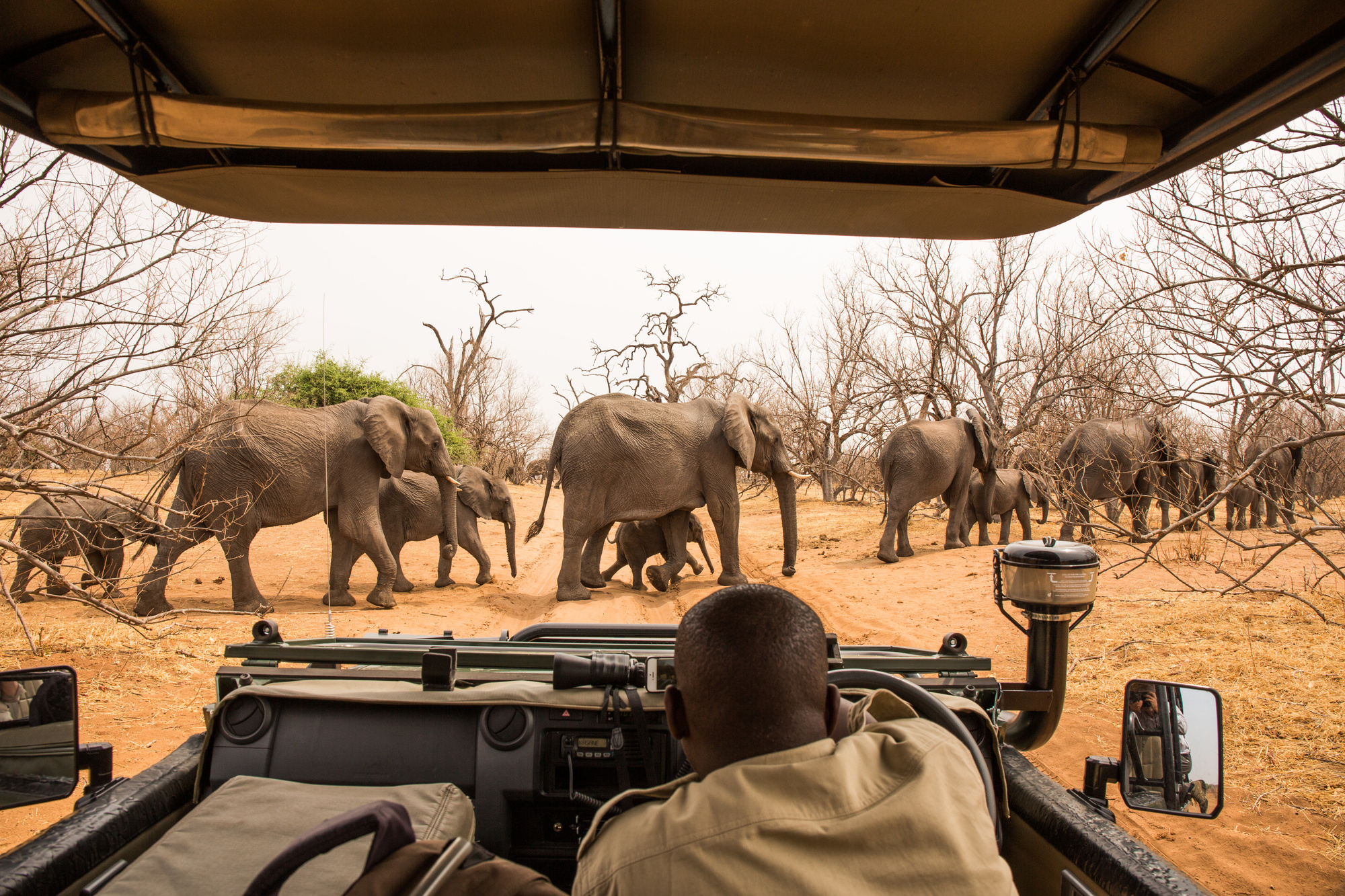 Africa Travel Guide How To Plan An Unforgettable Safari