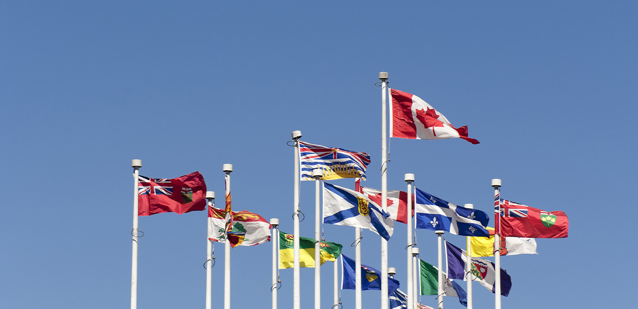 A group of flags waving in the wind.