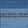 How To Enable Developer Options And USB Debugging On Android